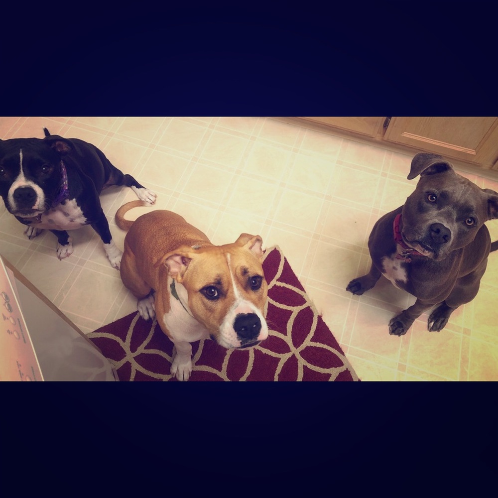 Meet your Posher, Wendy